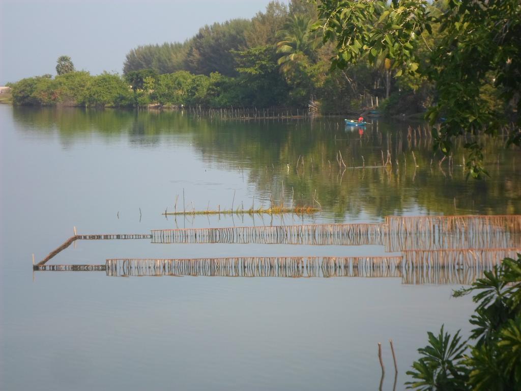 Hotel Lord Of The Forest Batticaloa Pokoj fotografie